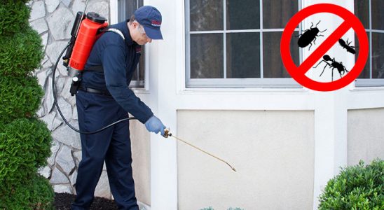 Yağcılar Uçan Haşere İlaçlama böcek ilaçlama ve haşere kontrolü — ilaclama-tr.com